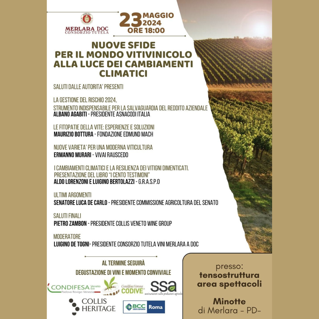 Progetto senza titolo (34)